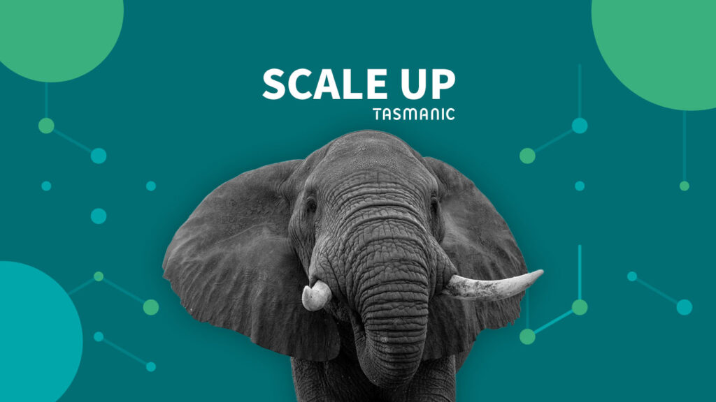 Scale-up marketing